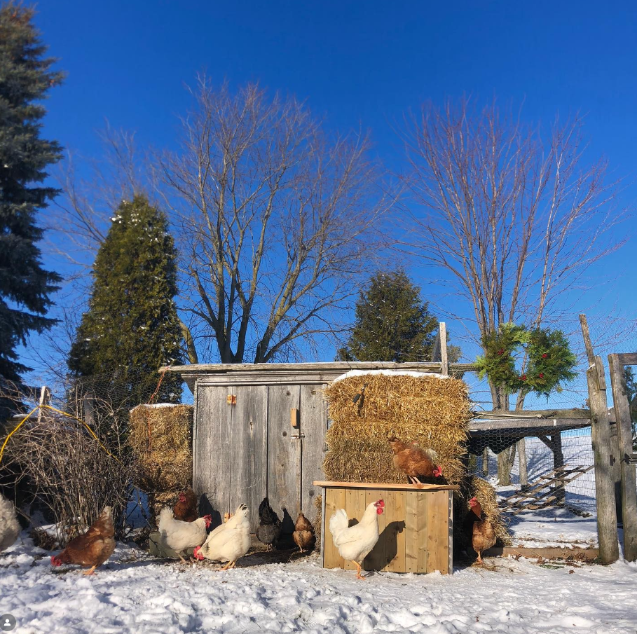 Insulated Rubber Boots
